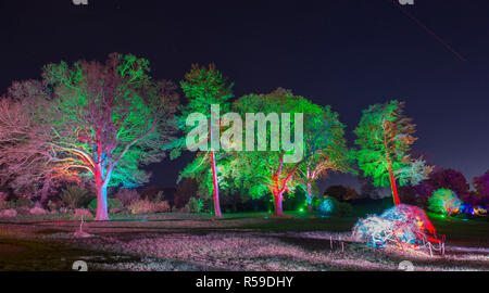 RHS Wisley, Surrey, Großbritannien. 30. November 2018. Spektakuläre botanisch - illuminationen Inspiriert durch Jigantics Einschalten bei RHS Wisley und für das Publikum geöffnet von 4 - 20 Uhr, 1. Dezember 2018 - Mittwoch, 2. Januar 2019 für die festliche Jahreszeit. Credit: Malcolm Park/Alamy leben Nachrichten Stockfoto