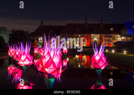 RHS Wisley, Surrey, Großbritannien. 30. November 2018. Spektakuläre botanisch - illuminationen Inspiriert durch Jigantics Einschalten bei RHS Wisley und für das Publikum geöffnet von 4 - 20 Uhr, 1. Dezember 2018 - Mittwoch, 2. Januar 2019 für die festliche Jahreszeit. Bild: Beleuchtete Lotus Blumen im Seerosenteich wider. Credit: Malcolm Park/Alamy leben Nachrichten Stockfoto