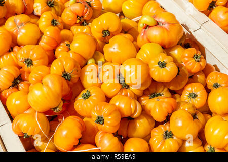 Tomaten auf einem Markt in Frankreich Stockfoto