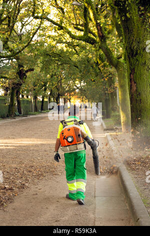 Gärtner mit Gebläse Rucksack im City Park arbeiten, Blasen treibt. Herbst Konzept Stockfoto