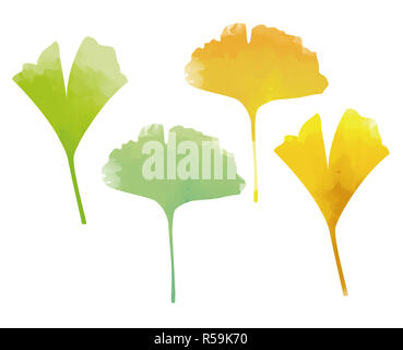 Grün und Gelb ginkgoblätter Aquarell Auswirkungen Stockfoto