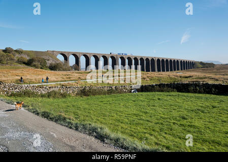 Ein Sprinter Personenzug überquert Ribblehead Viadukt, in der Nähe von Ingleton, Yorkshire Dales National Park, Großbritannien Stockfoto