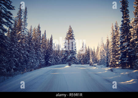 Baum steht allein in der Mitte des schmalen forset Weg bedeckt mit Schnee, Banff National Park, Kanada Stockfoto