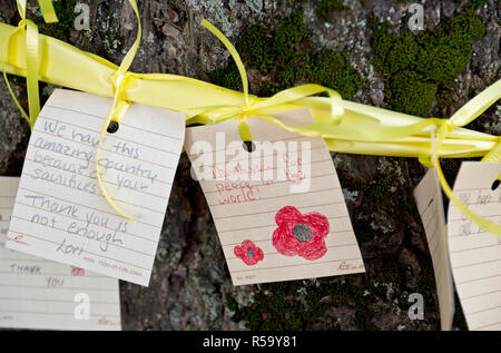 Herzlichen handschriftliche Nachrichten für Veteranen, die gelben Bänder an Bäume gebunden. Teil der Erinnerung Tag der Einhaltung in Coquitlam, BC, Kanada Stockfoto