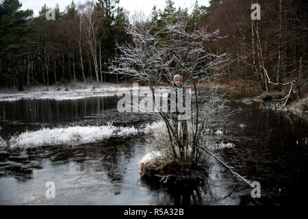 Der Winter ist die kälteste Jahreszeit in polaren und gemäßigten Zonen (im Winter nicht in den meisten der tropischen Zone auftreten). Sie tritt nach dem Herbst und Stockfoto