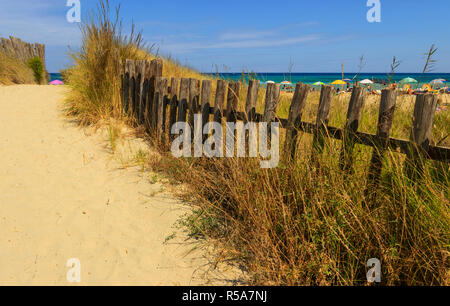 Ence zwischen Dünen in Apulien, Italien. Der Regionale Naturpark Dune Costiere (Torre Canne) umfasst die Gebiete von Ostuni und Fasano entlang acht Stockfoto