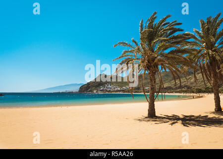 Palmen Strand Playa Las Teresitas, Teneriffa Stockfoto