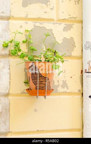 Stadt Krk, Kroatien Stockfoto