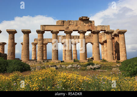 Spalten als bleibt, Tempel E mit blühenden Blumen, archäologische Stätte, Selinunte, Sizilien, Italien Stockfoto