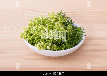 Porzellanschüssel mit Hedge Labkraut Stockfoto