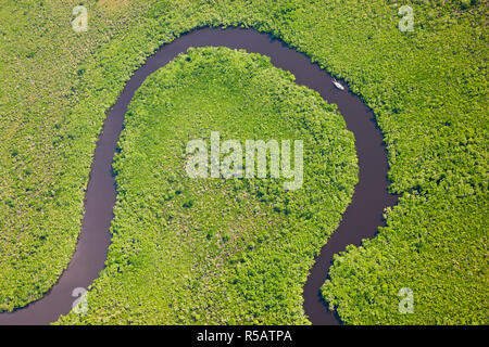 Segeln Sie, Boot & Luftaufnahme des Regenwaldes, Daintree River, Daintree Nationalpark, Queensland Australien Stockfoto