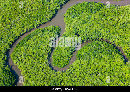 Luftaufnahme des Regenwaldes, Daintree River, Daintree Nationalpark, Queensland Australia Stockfoto