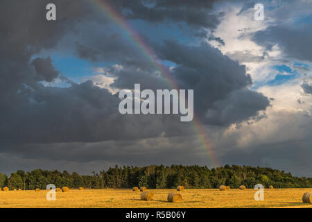 Gewitter mit Regenbogen über Stoppeln Feld, Thüringen, Deutschland Stockfoto