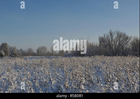 Anfang des Winters in die Felder in der Nähe des Flusses in einem der frostigen Tage. Stockfoto