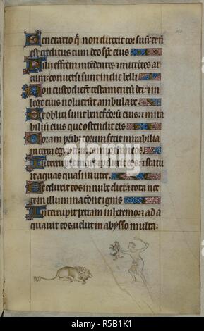 Bas-de-Seite Szene von einem Mann spannend ein Welpe, um ein Löwe durch seine heult zu gewinnen. Psalter (die "Queen Mary Psalter"). England (London/Westminster oder East Anglia?); zwischen 1310 und 1320. Quelle: Royal 2 B VII, w.183. Sprache: Latein, mit französischen Bildunterschriften. Stockfoto