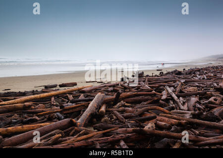 Kanada, Britisch-Kolumbien, Vancouver Island, Ucluelet, Long Beach, Bäume am Strand nach dem winter storm Stockfoto