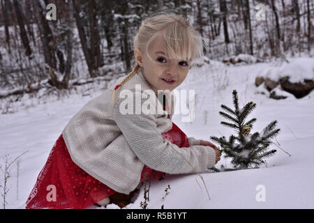 Schöne Mädchen findet den Geist von Weihnachten durch die Verzierung eines Outdoor Pine Tree fluffed im Schnee Stockfoto