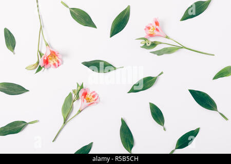 Flach dekorative Muster der frischen grünen Blättern und rosa Lilie Blumen auf weißem Hintergrund, Ansicht von oben. Stockfoto