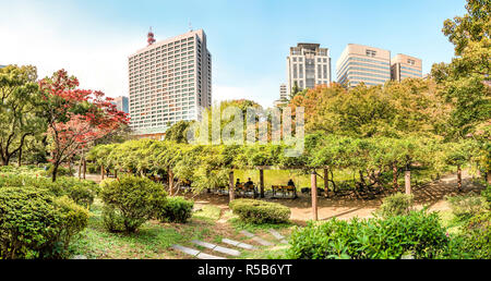 Shinkei Teich im Hibiya Park (Hibiyakoen) in Chiyoda-ku im Herbst, Tokio, Japan Stockfoto