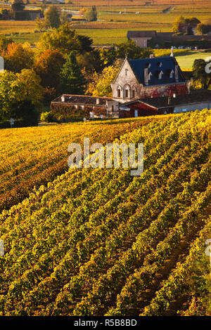 Frankreich, Region Aquitanien, Gironde Abteilung, St-Emilion, Weinstadt, zum UNESCO-Weltkulturerbe Weinberge Stockfoto