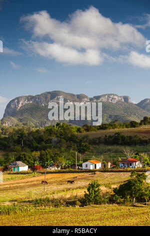 Kuba, Provinz Pinar del Rio, Vinales, Tal von Vinales Stockfoto