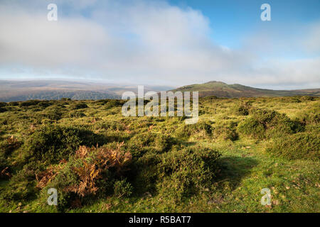 Schöne lansdcape Blick über Dartmoor während Misty herbstlichen Morgen Stockfoto