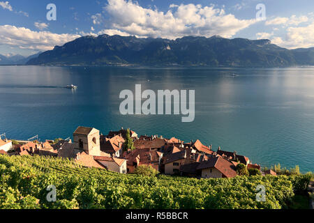 Schweiz, Waadt, Lavaux, St. Saphorin Dorf und Lac Leman/Genfer See Stockfoto