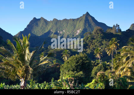 Rarotonga, Cook Inseln, Südpazifik Stockfoto