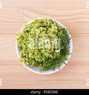 Porzellanschüssel mit Hedge Labkraut Stockfoto