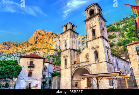 Die Kathedrale von St. Tryphon in Kotor, Montenegro Stockfoto