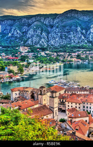 Die Kathedrale von St. Tryphon in Kotor, Montenegro Stockfoto