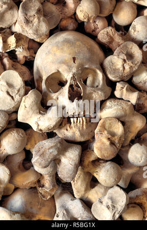 Schädeln und Knochen, Beinhaus von die Kirche von Santa Maria de Wamba, Valladolid, Kastilien und Leon, Spanien Stockfoto