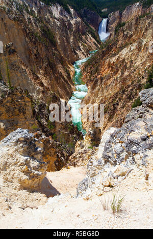 Die Lower Falls des Yellowstone River. Die beliebtesten Wasserfall im Yellowstone National Park, Wyoming, USA Stockfoto