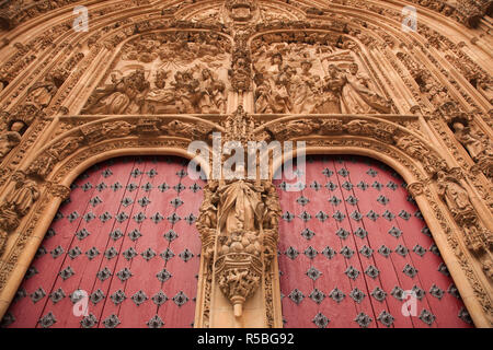 Spanien, Castilla y Leon Region, Provinz Salamanca, Salamanca, Kathedralen von Salamanca, Eingang detail Stockfoto