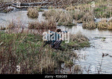 Ein naturfotograf bei der Arbeit. Ein Mann die Bilder von Vögeln. Stockfoto