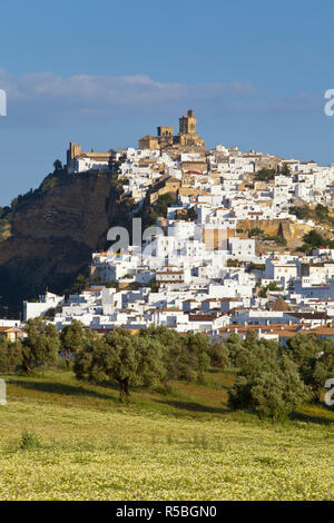 Kirche Glockentürme und weiß getünchten Häusern, Arcos de la Fontera, Provinz Cadiz, Andalusien, Spanien Stockfoto