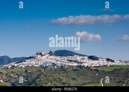 Olvera, Provinz Cadiz, Andalusien, Spanien Stockfoto