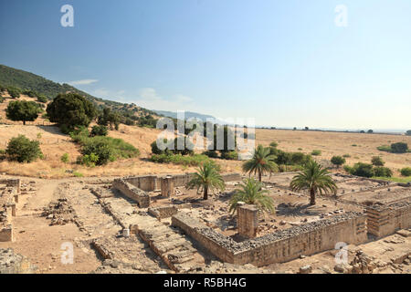 Spanien, Andalusien, Cordoba, Madinat al-Zahra Ausgrabungsstätte, Palace City Stockfoto