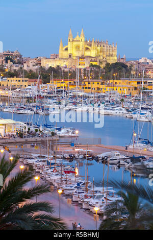 Kathedrale La Seu und Hafen, Palma de Mallorca, Mallorca, Balearen, Spanien Stockfoto