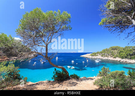 Spanien, Balearen, Ibiza, Cala Salada Strand Stockfoto