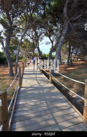 Spanien, Balearen, Ibiza, weg zu Platja de Ses Salines Strand Stockfoto