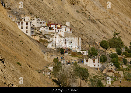 Alte Ladakhi Häuser im Dorf von Hinju, Ladakh, Indien Stockfoto