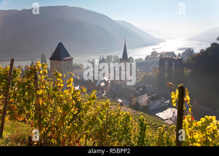 Blick auf Bacharach mit Peters Kirche und Rhein, Rheinland-Pfalz, Deutschland Stockfoto