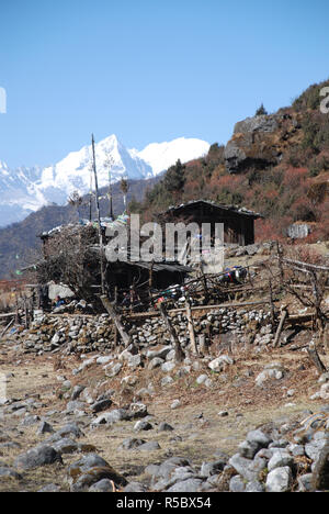 Der Sherpa Dorf Thudam in der Nähe der Lumba Sumba La Pass im östlichen Nepal Stockfoto