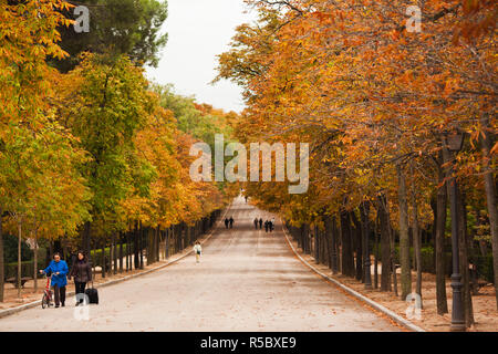Spanien, Madrid, Parque del Buen Retiro Park, Herbstlaub Stockfoto