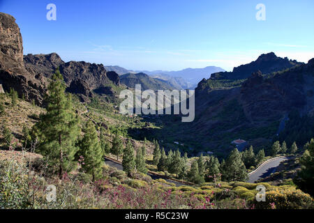 Kanarische Inseln, Gran Canaria, Mittelgebirge, Roque Nublo Wanderweg Stockfoto