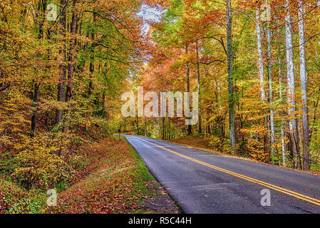 Horizontale Schuß von bunten Bäume rund um ein Smoky Mountain Road im Herbst. Stockfoto