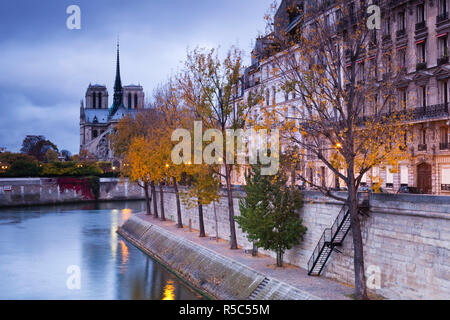 Frankreich, Paris, Kathedrale Notre-Dame Kathedrale und Ile Saint-Louis, dawn Stockfoto