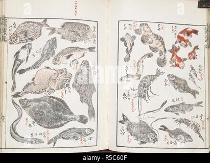 Japanische Skizzen von Fisch und Meerestiere. . Hokusai Manga. 19. Quelle: Oder. 65. Ein.43. Stockfoto