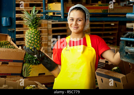Costa Rica, La Virgen de Sarapiqui, Ananas Fabrik, weibliche Inspector Stockfoto